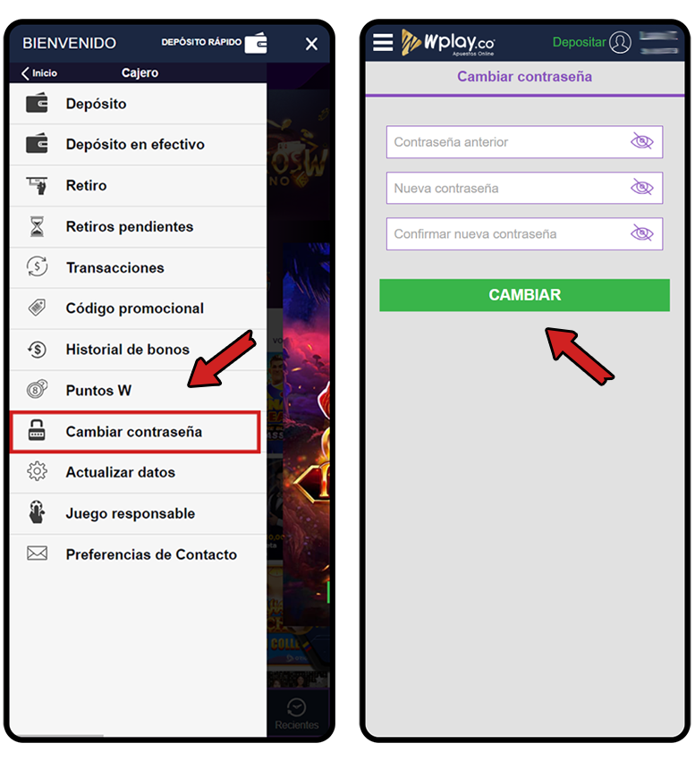 actualizarcontrasena02.png
